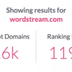 Why Is SEO Important for Every Business?